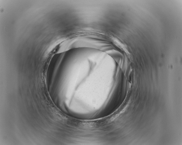 X0000088891453200706291428