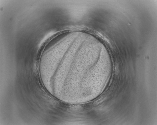 X0000088891454200706291428