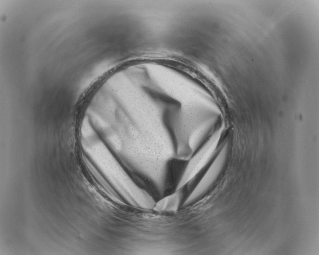 X0000088891456200706291428