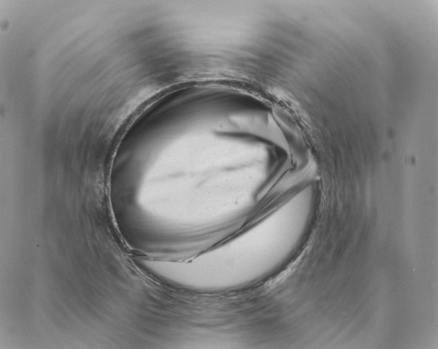 X0000088891457200706291428