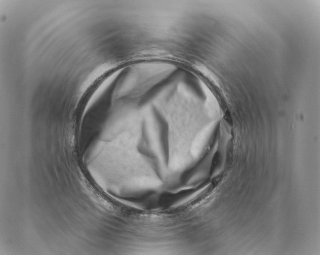 X0000088891458200706291428