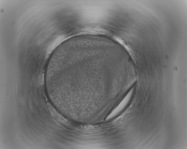 X0000088891459200706291428