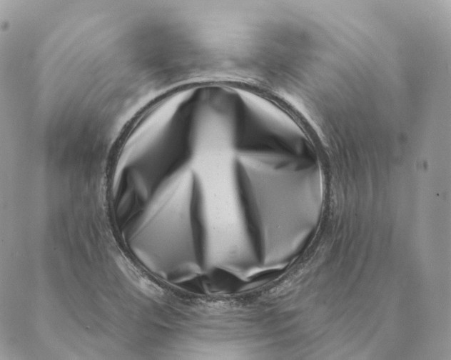 X0000088891460200706291428