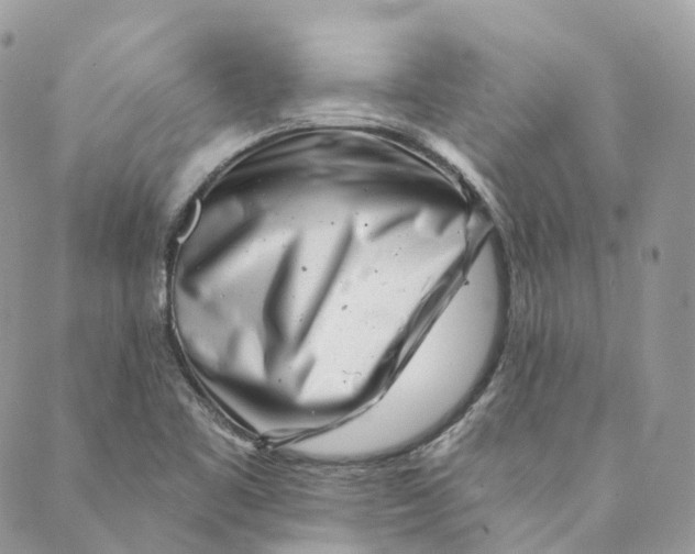 X0000088891461200706291428