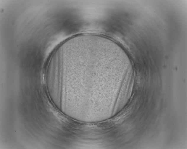 X0000088891462200706291428