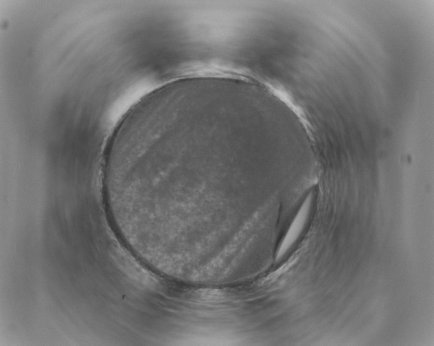 X0000088891463200706291428