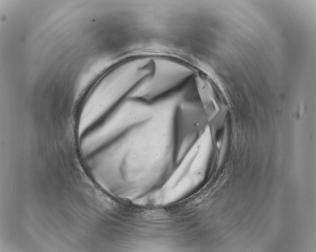 X0000088891464200706291428