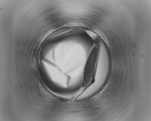 X0000088891465200706291428