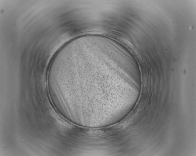 X0000088891466200706291428