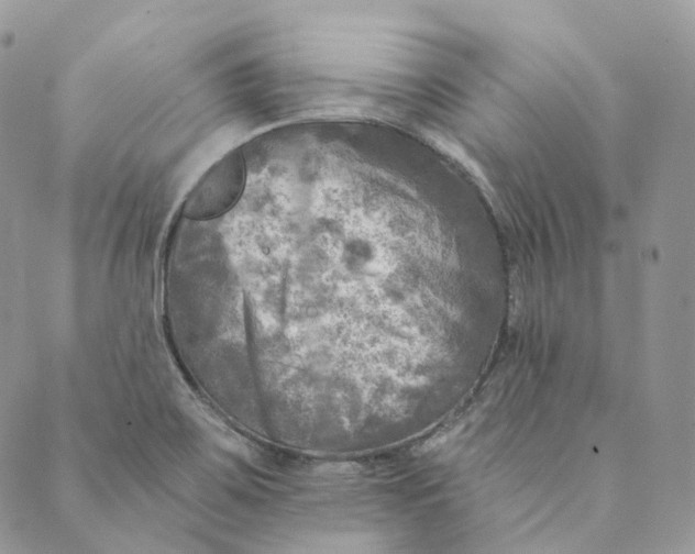 X0000088891467200706291428