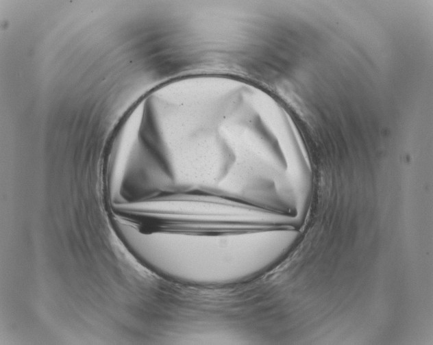 X0000088891468200706291427