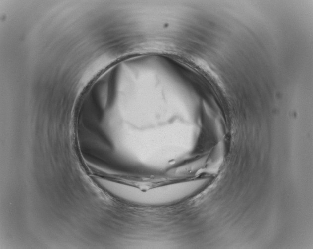 X0000088891469200706291427