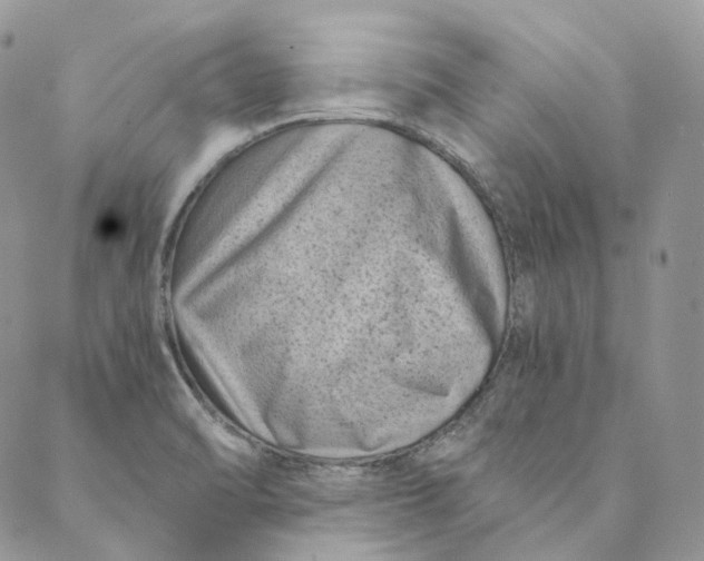 X0000088891470200706291427