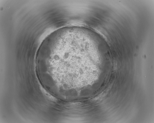 X0000088891471200706291427