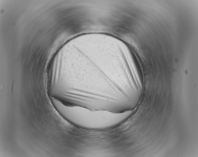 X0000088891472200706291427