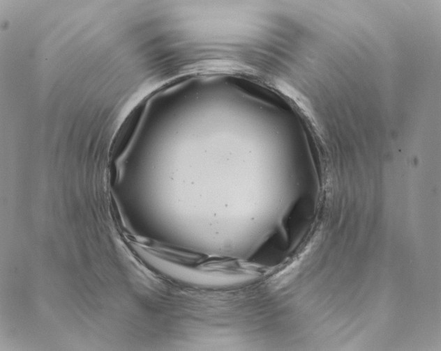 X0000088891473200706291427