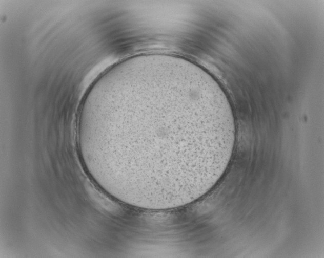 X0000088891474200706291427