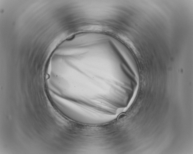 X0000088891475200706291427