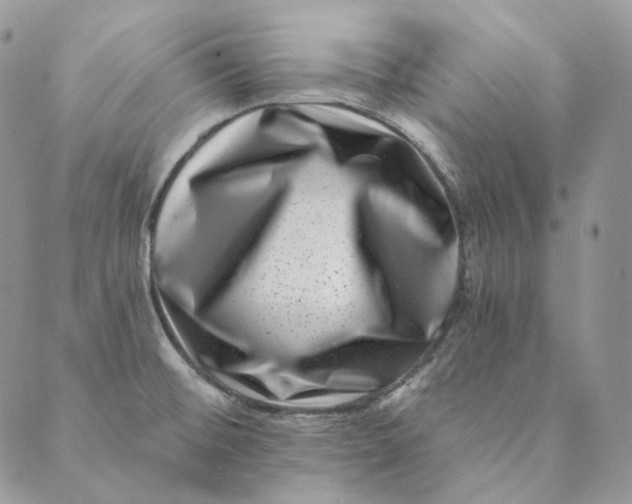 X0000088891476200706291427