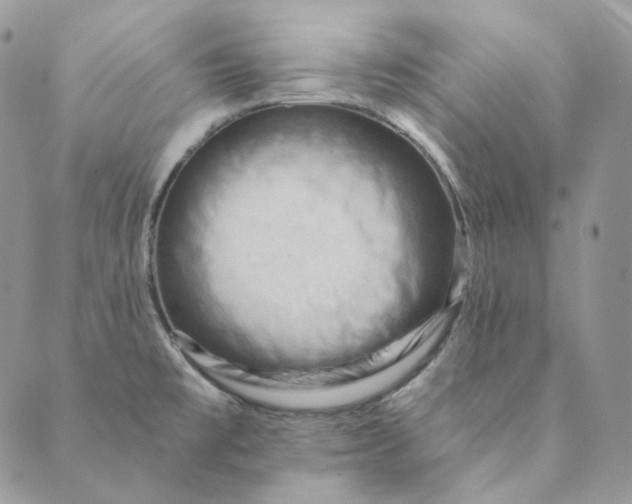 X0000088891477200706291427