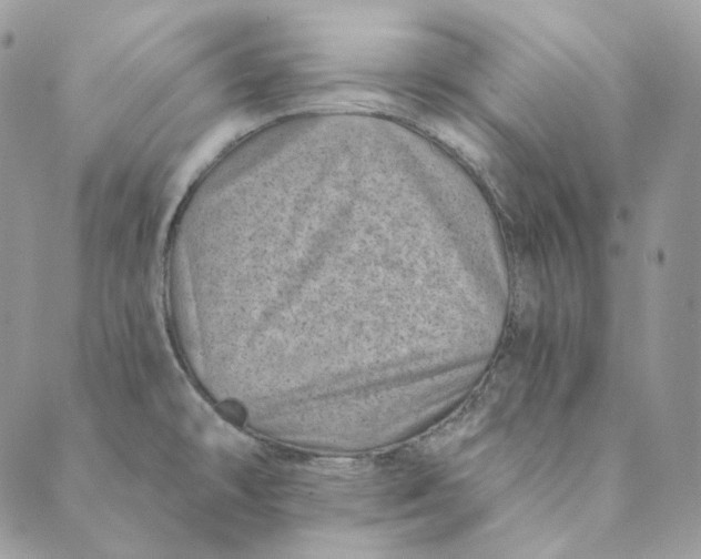 X0000088891478200706291427