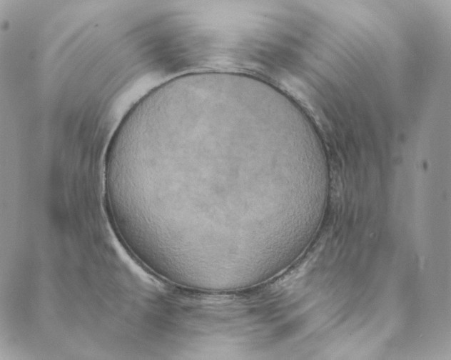 X0000088891479200706291427