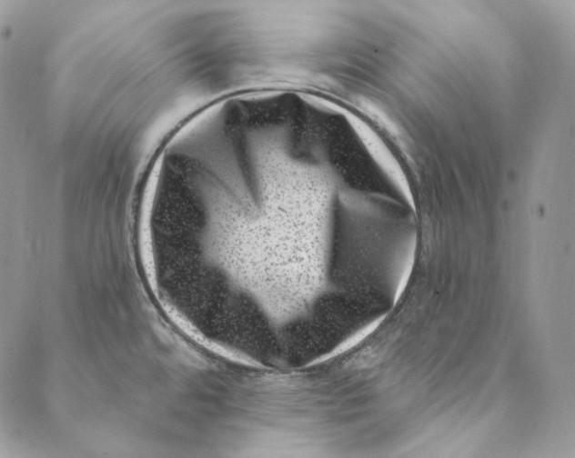 X0000088891480200706291427