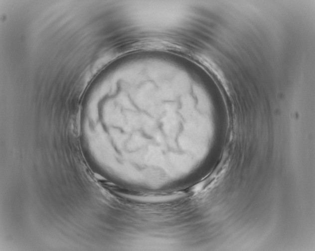 X0000088891481200706291427