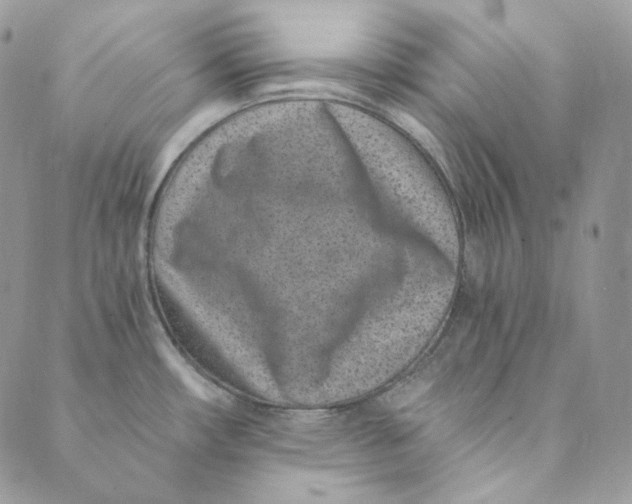 X0000088891482200706291427