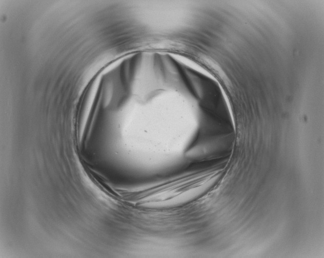 X0000088891483200706291427