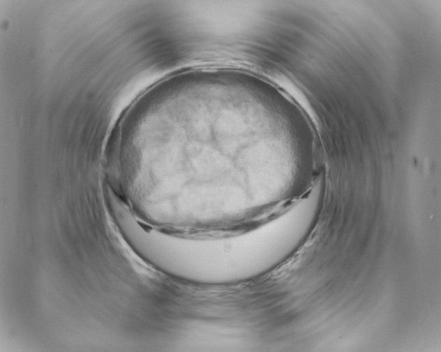 X0000088891485200706291427