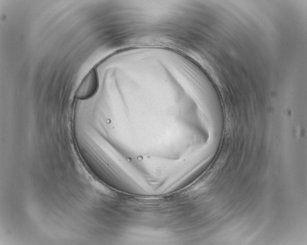 X0000088891486200706291427