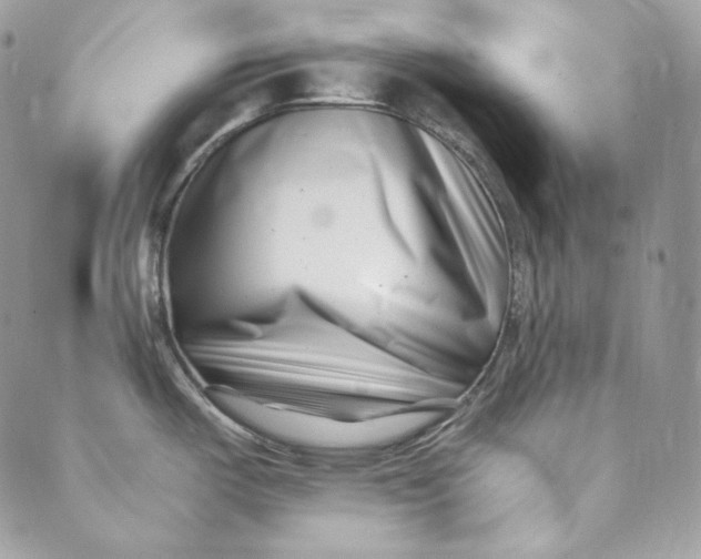 X0000088891487200706291427