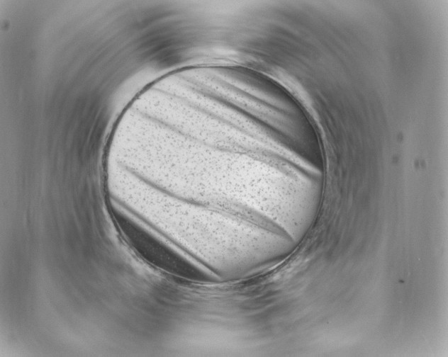 X0000088891488200706291427