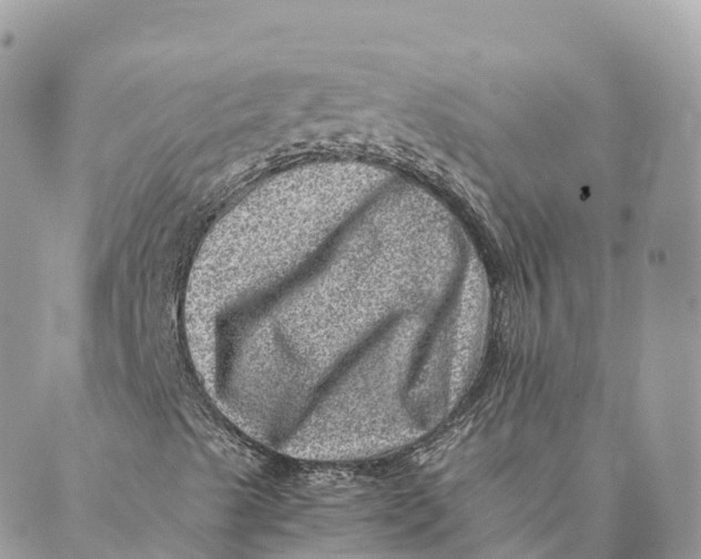 X0000088891489200706291426