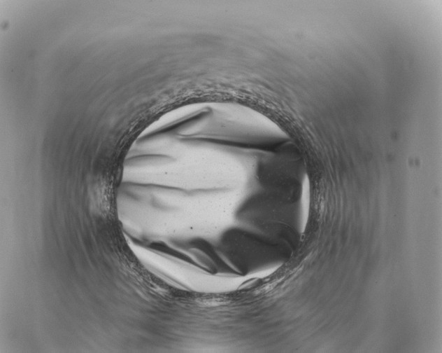 X0000088891490200706291426