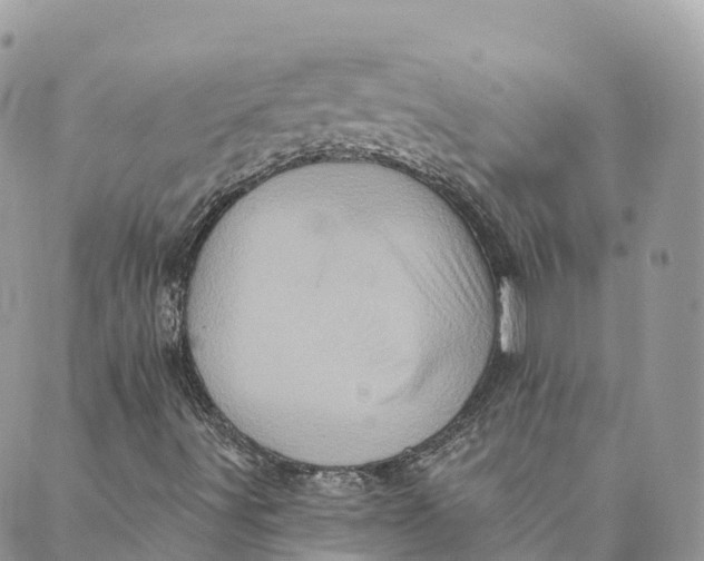 X0000088891491200706291426