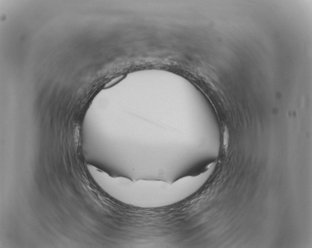 X0000088891492200706291426