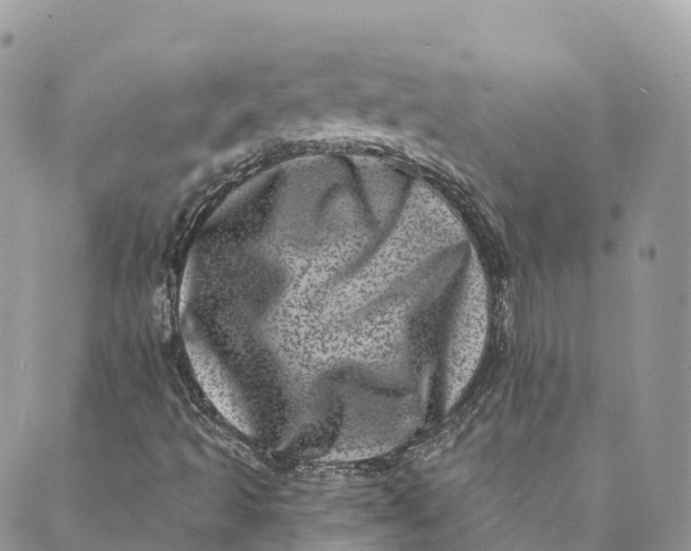 X0000088891493200706291426