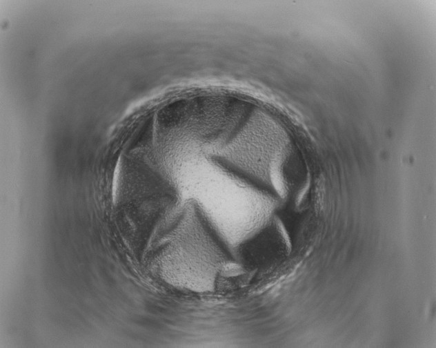 X0000088891494200706291426