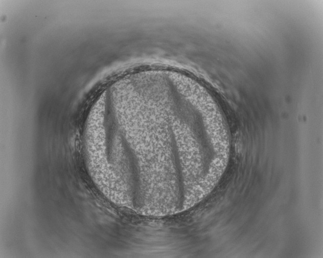 X0000088891495200706291426