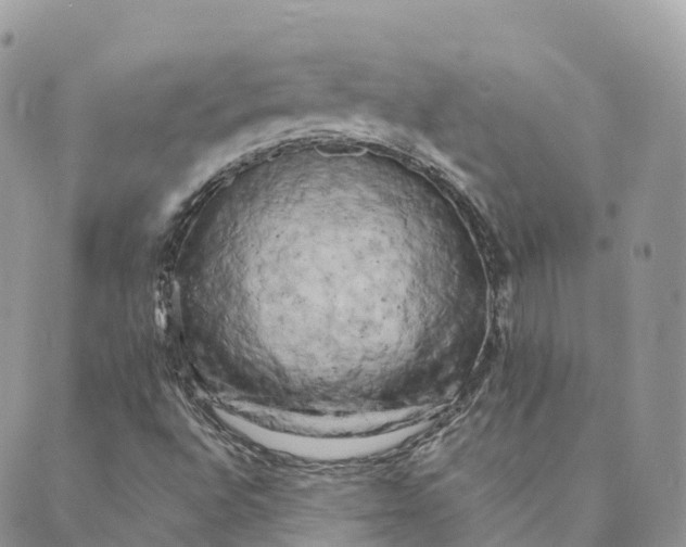 X0000088891496200706291427