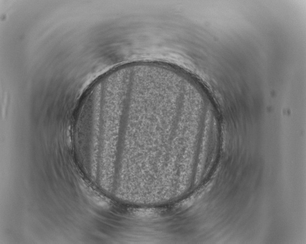 X0000088891497200706291427