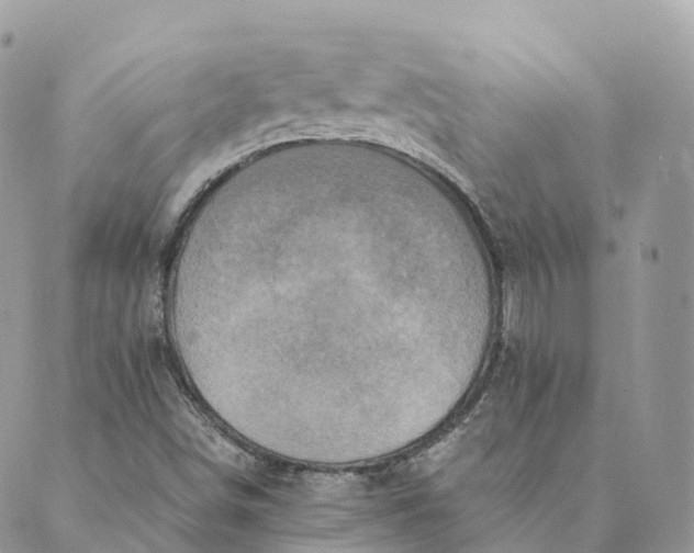 X0000088891498200706291427