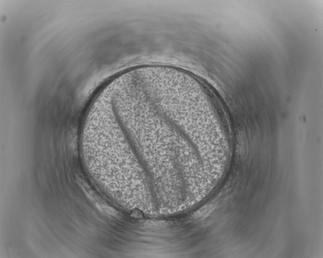 X0000088891499200706291427