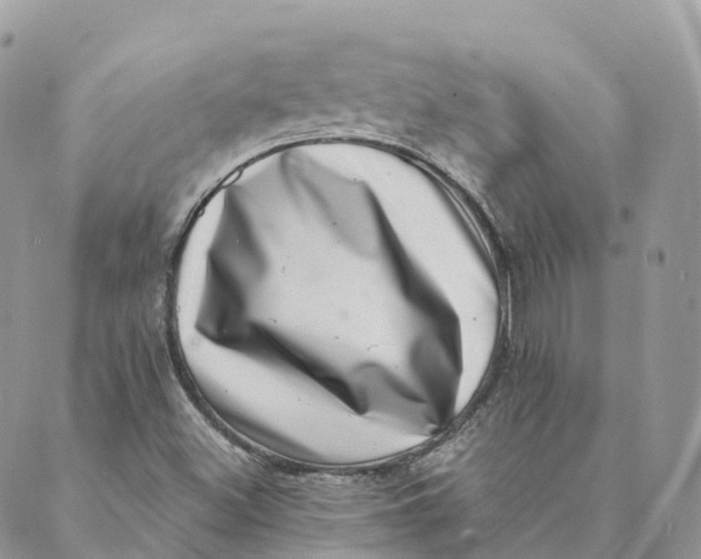 X0000088891500200706291427