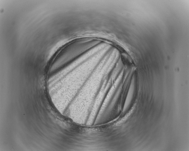 X0000088891501200706291427