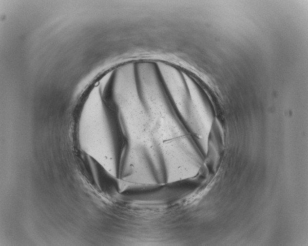 X0000088891502200706291427