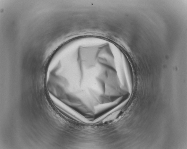 X0000088891504200706291427