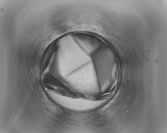 X0000088891505200706291427